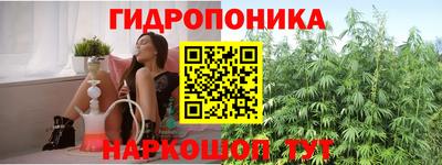 прущий лед Кингисепп